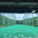 다일락스포렉스 이미지