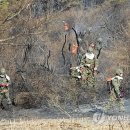 진화목장 이미지