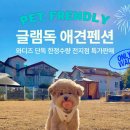 글램독청평 이미지