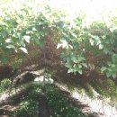 산매농장 이미지