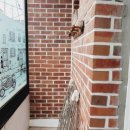 한솔초교 이미지