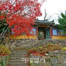 신숭겸로2 이미지