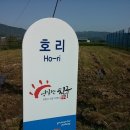 대운카센타 | [점보타이탄2.5톤덤프중고차수출매입후기] 경상북도 포항시 신광면 소재 원법사에서 매입한 점보타이탄...