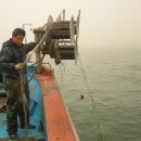 해맑은바다 이미지