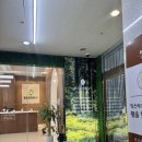 수완지구 미용실 에코레비헤어앤스파 광주하남점 커트 다운펌 후기