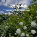 [경기도/포천] 국립수목원(광릉수목원) 주차 예약 및 방문 후기