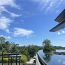 발리(BALI) | [발리 짐바란숙소추천]림바 바이 아야나 발리 Rimba by Ayana Bali / 조식후기 /수영장후기