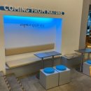서울 명동 카페, 명동 놀거리 Yoyogurt 후기🤍