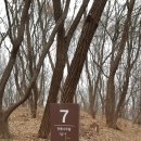 건지산(장덕사) | 오후 건지산 산행