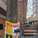 필운대로 | 지금 아니면 못 볼지도｜서촌 필운대로 감성 포토존, 포토스팟