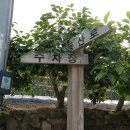 금평마을회관 이미지