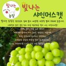 대포천 농장 네이버블로그