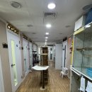 고양이 생활 호텔 | 고양이호텔 우산쓴고양이 서울 고양이호텔 내돈내산의 우산쓴고양이 고양이호텔 후기 1편 - 내부...