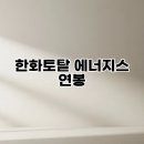 한화토탈에너지스노동조합 | 한화토탈 에너지스 연봉