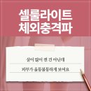 셀룰라이트체외충격파 원리와 후기 및 관리법은
