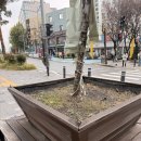 시민정원 | 내 집앞 공공정원을 시민들이 직접 가꾸는 시민참여정원으로 만들어보면 어떨까요?