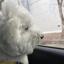 독트럴파크