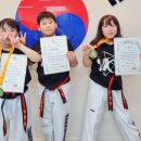 비송태권도 이미지