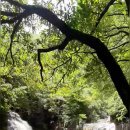 무릉계곡 이미지