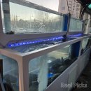 원미어시장 | 부천 송내 횟집 추천 | 베테랑종합어시장 쭈꾸미철 모듬회 솔직 후기