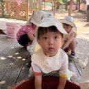 차물놀이