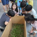 수원-0806 이미지