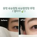 앨리아 | 동탄속눈썹 동탄속눈썹펌 동탄속눈썹연장 추천 ꒰ 엘리아 ꒱ 🍃🪽