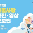 연세종합동물병원 데일리벳