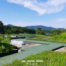 직장인 점심 도시락(야간) 이미지