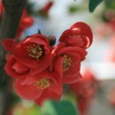 불로사슴목장 이미지