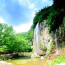 어울림 계절 맛집 이미지