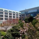 카이스트 이미지