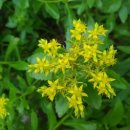 기린초등학교 이미지