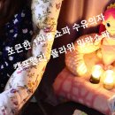 1인용 패브릭 쇼파 새로운 도전 캠프밸리 플라워 릴렉스 밀란 쇼파 플러스