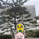 서초 법원(서울법원종합청사 후생관) 예식 하객 후기, 법원 결혼식 후기