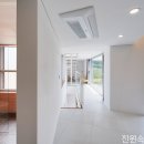배꽃미용실