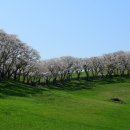 서산농장 이미지