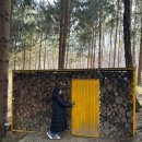 애니농장 | 대관령 여행코스 추천 | 강원도 알파카농장 애니포레 후기