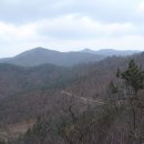 동외제 Daum카페