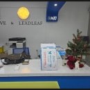 리프어학원 이미지