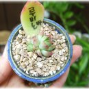 (주)배성 이미지