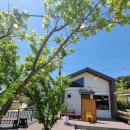 카페옥이네 북스테이 이미지