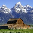 메기의 추억 이미지