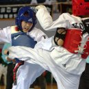 용인대 아이스타 태권도장 이미지