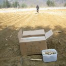 군자농장 이미지