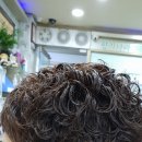 천연머리염색향기 이미지