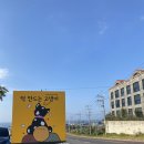 떡만드는고냉이