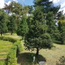 한수목장 이미지