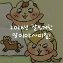 씨제이올리브영(주) 롯데몰은평점 | 2026년 잘될거란 말이야~이힝!
