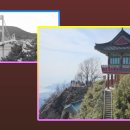 대섬 Daum카페